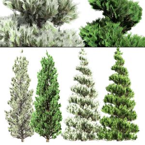 Green And Snow Dusted Christmas Pine Trees Pack