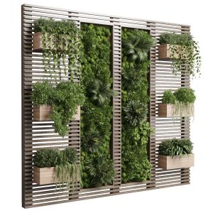 Plants Set Partition In Wooden Frame - Vertical Mo