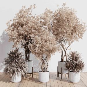 Indoor Plant Set 423 Tree Autumn With Dried Plant