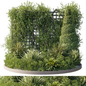 A Garden Of Plants Shrubs And Palms - Outdoor Gard