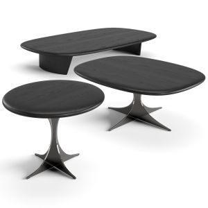 Anish Wood Coffee Tables Set