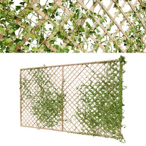 Ivy Climber Plant On Wall Wood Mesh Decoration