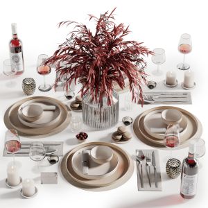 Tableware Set 24