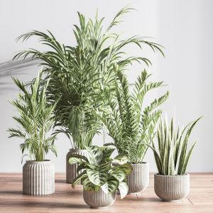 Indoorsetplant053