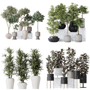 5 Different SETS of Plant Indoor. SET VOL128