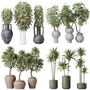 5 Different SETS of Plant Indoor. SET VOL129