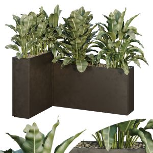 Hq Tree And Bush Garden Box Outdoor  Vol 38