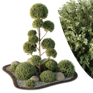 Hq Tree And Bush Garden Box Outdoor  Vol 41