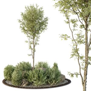 Hq Tree And Bush Garden Box Outdoor  Vol 40