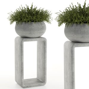 Indoor Plant -stand Plant In Concrete Pot Set-73