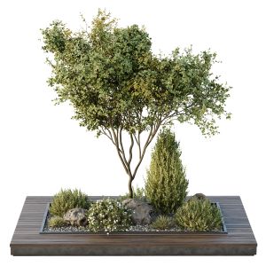 Hq Tree And Bush Garden Box Outdoor  Vol 43