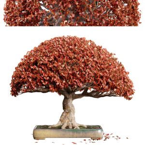 Bonsai 03 | Pbr | Midpoly | Hq