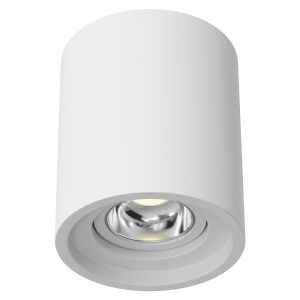 Cairn Tilt Ceramic Surface Mounted Ceiling Downlig