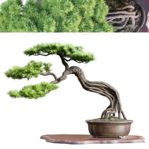 Bonsai 04 | Pbr | Midpoly | Hq