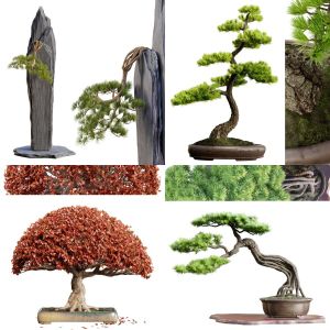 4 Bonsai Collection | PBR | HQ | Midpoly