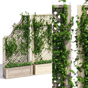 Trellises