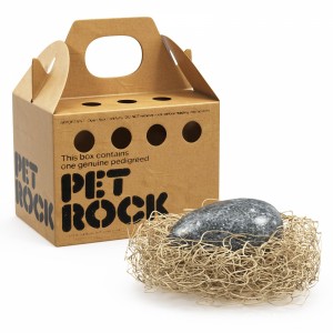 Pet Rock