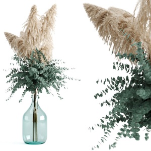 Cortaderia Selloana And Eucalyptus In Bottle