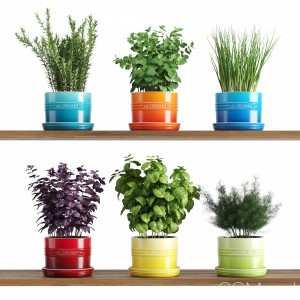 Kitchen Herbs In Le Creuset Planters