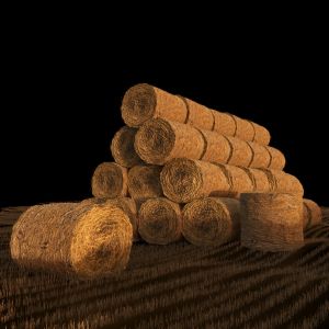 Rolls Of Hay