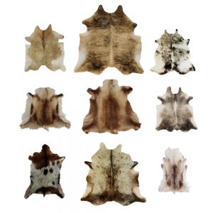 Nine Rugs From Animal Skins 10