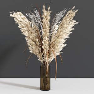 Bouquet Pampa Grass In Vase