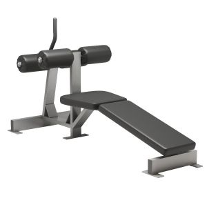 Life Fitness Hammer Strength Decline / Abdominal B