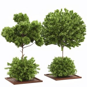 Garden Set Bush And Tree Set04