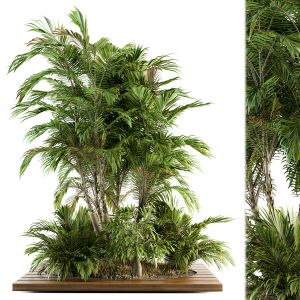 Garden Set Tropical Bush And Tree - Garden Set 05