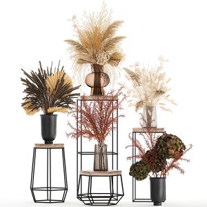 Collection of bouquets of dried flowers 213