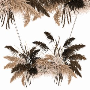 Hanging Decor Of Their Dried Pampas Grass 214