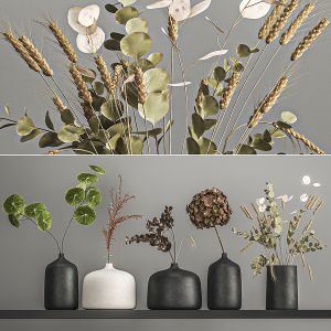 Collection Of Bouquets Of Dried Flowers 209