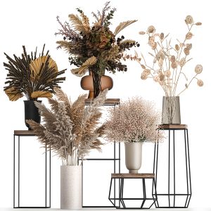 Collection Of Bouquets Of Dried Flowers 208