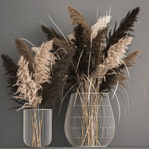 Decorative Bouquet Of Dried Pampas Grass 1071