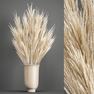 Decorative Bouquet Of Dried Pampas Grass 195