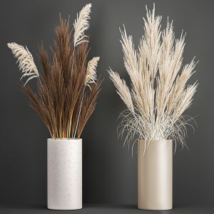 Decorative Bouquet Of Dried Pampas Grass 194