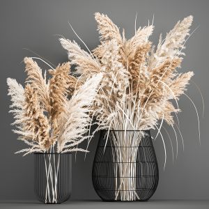 Bouquet Of Dried Pampas Grass 193