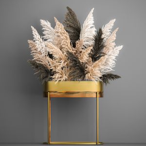 Bouquet Of Dried Pampas Grass 189