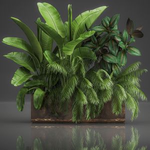 Tropical Thickets In Metal Pots 1057