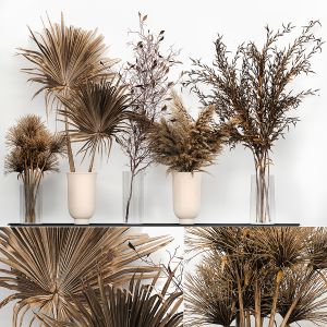 Bouquet Collection Of Dried Flowers In A Vase 181