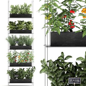 Vertical Garden For The Kitchen 68