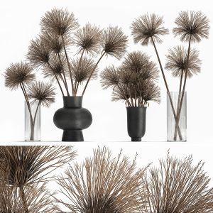 Bouquet Of Dried Flowers Cyperus In A Vase 177