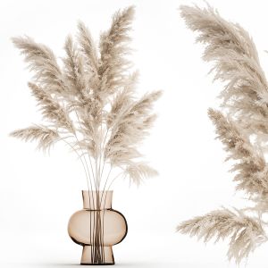 Bouquet Of Dried White Reeds In A Vase 145