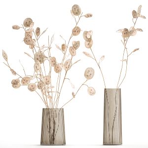 Dried Flowers Lunaria In A Glass Vase 129