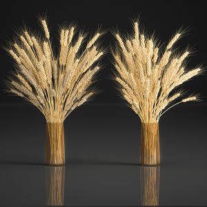 Bouquet Of Wheat Ears In A Vase For Decor 124