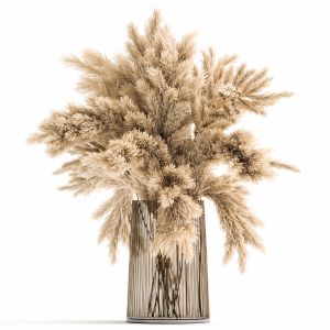 Bouquet Of Dried Reeds In A Vase 122