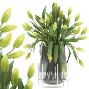 Bouquet Of Green Tulips In A Vase 116