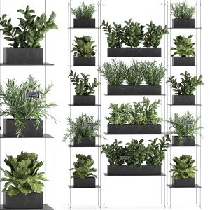 Vertical Gardening For Kitchen 63