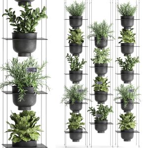 Vertical Gardening 62