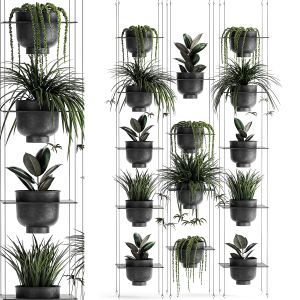 Vertical Gardening 61